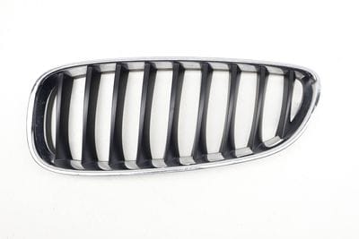 Bumper Grille 51137191509