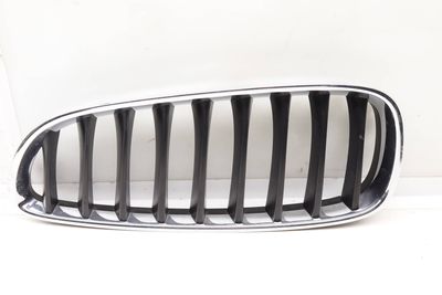 Bumper Grille 51137191509