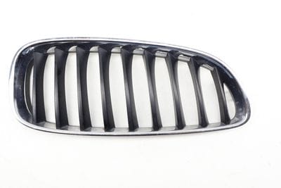 Bumper Grille 51137191510