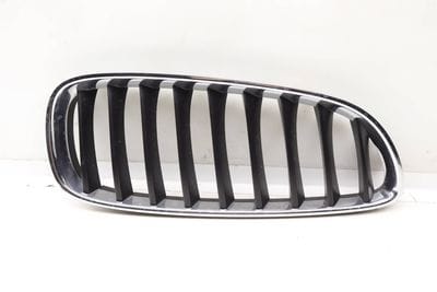 Bumper Grille 51137191510