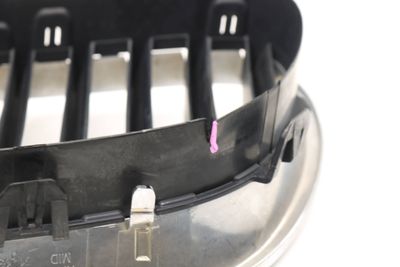 BUMPER GRILLE 7200728