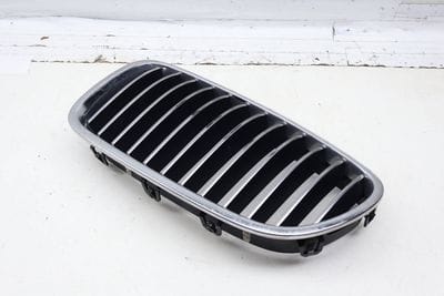 Bumper Grille 51137203649
