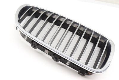 Bumper Grille 51137203650