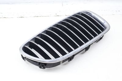 Bumper Grille 51137203650