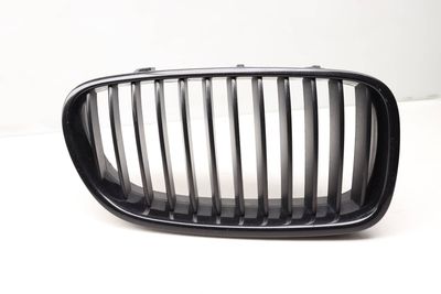 BUMPER GRILLE 7203650