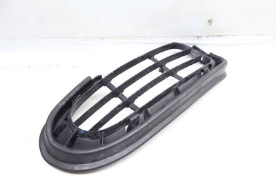 BUMPER GRILLE