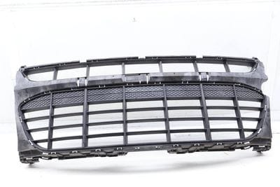 Bumper Grille (CENTER)