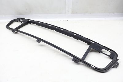 BUMPER GRILLE TRIM / BEZEL 7171348