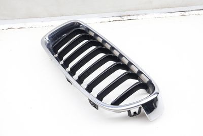 BUMPER KIDNEY GRILLE 7260497