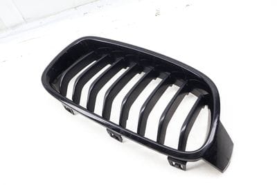 Bumper Kidney Grille 51137260498
