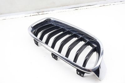 BUMPER KIDNEY GRILLE 7260498