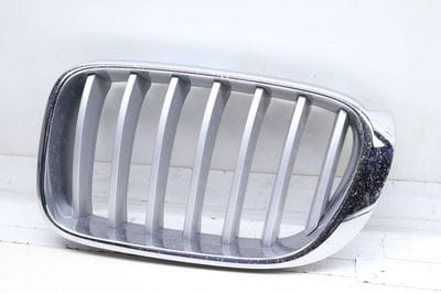 Bumper Kidney Grille 51137367421