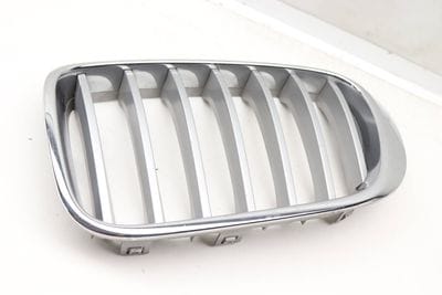 Bumper Kidney Grille 51137367421