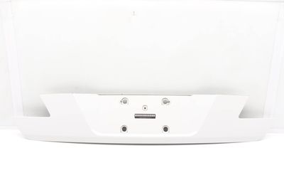 BUMPER LICENSE PLATE PANEL / MOLDING 7138423