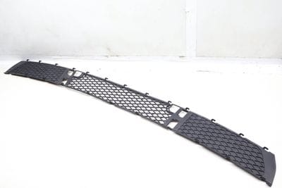 Bumper Lower Center Grille 51113400908