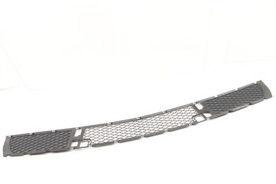 BUMPER LOWER CENTER GRILLE 3400908