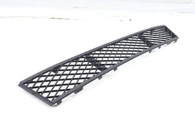 Center Bumper Grille 51117285950