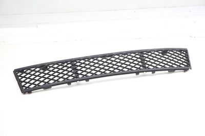 Center Bumper Grille 51117285950