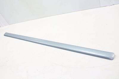Center Door Molding / Trim 8E0853953
