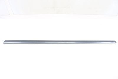 Center Door Molding / Trim 8E0853953
