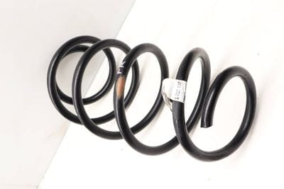 Coil Spring 31316787137