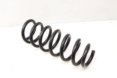 Coil Spring 31326778113