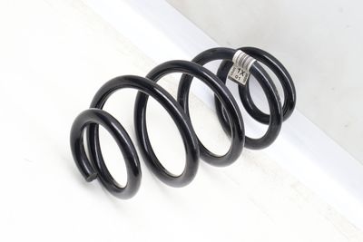 COIL SPRING 6892121