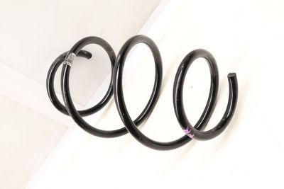 COIL SPRING