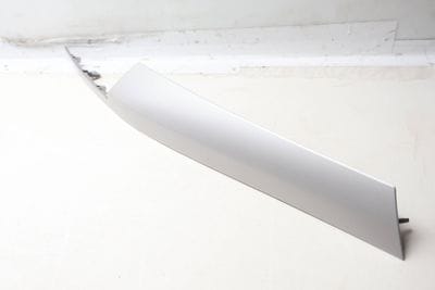 DASH PANEL TRIM 2991701