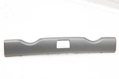 DASH TRIM / MOLDING (CENTER)