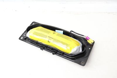 DOOR AIRBAG / AIR BAG