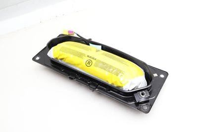 DOOR AIRBAG / AIR BAG