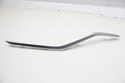 Door Fiber Optic Ambient Light Guide / Trim 63316999929