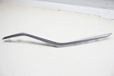 Door Fiber Optic Ambient Light Guide / Trim 63316999930