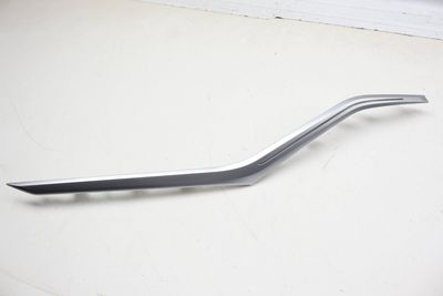 Door Fiber Optic Ambient Light Guide / Trim 63316999931