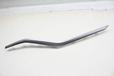 Door Fiber Optic Ambient Light Guide / Trim 63316999932