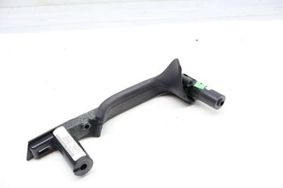 DOOR GRAB HANDLE MOUNT (INTERIOR)