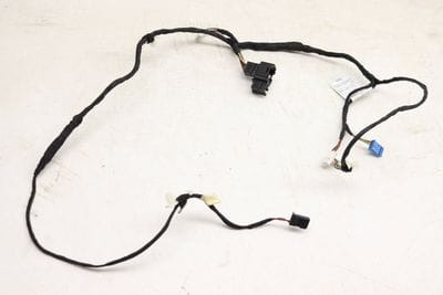 DOOR LIGHT / WIRING HARNESS 6819934