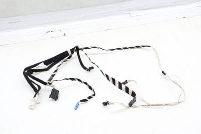 Door Panel Light Wiring Harness 2214408905