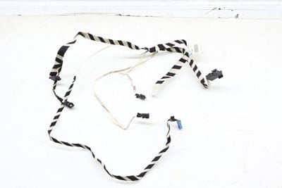 Door Panel Light Wiring Harness 2214409005