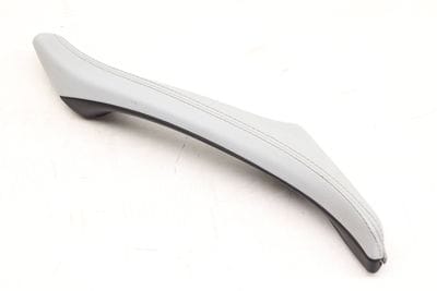 DOOR PANEL PULL / GRAB HANDLE 8050787