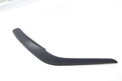 DOOR PANEL TRIM / INTERIOR GRAB HANDLE 2991776