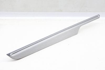 DOOR PANEL TRIM / MOLDING