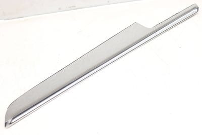 Door Panel Trim / Molding