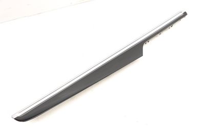Door Panel Trim / Molding