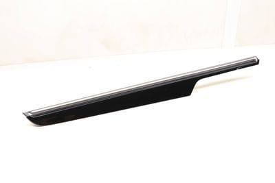 Door Panel Trim / Molding