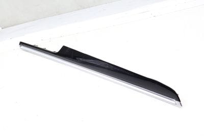 DOOR PANEL TRIM / MOLDING