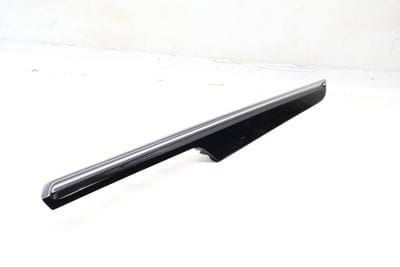 Door Panel Trim / Molding