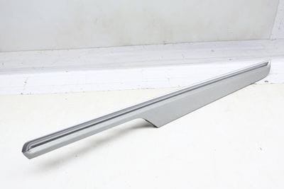 Door Panel Trim / Molding