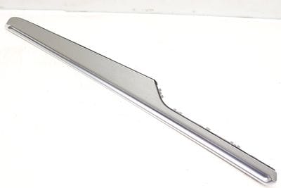 DOOR PANEL TRIM / MOLDING